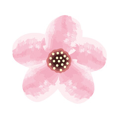 pink watercolour flower