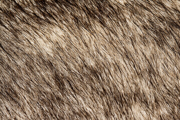 close up black and white dog skin for texture and pattern.