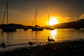 beautiful sunrise on lake nahuel huapi with boats