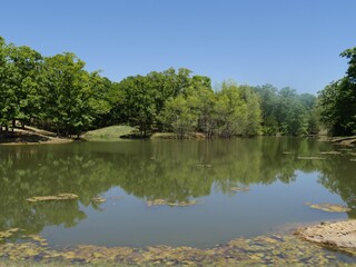 Fototapeta na wymiar Tree reflections in the waters of a lake, wide shot