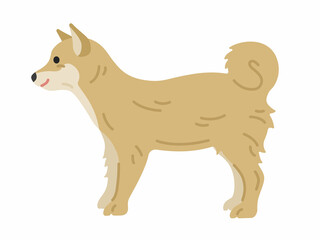 横から見た、柴犬のイラスト