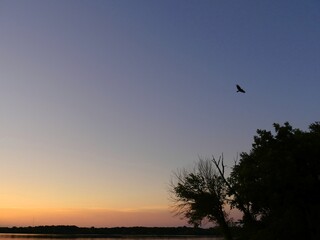 Wide shot of a beautiful sunset in the lake, with a bird flying in the skies