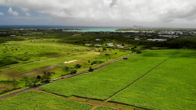 Aerial view on the sugar plantations in Mauritius 
