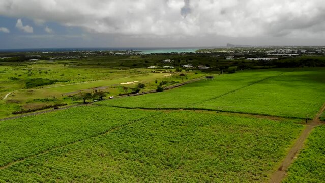 Aerial view on the sugar plantations in Mauritius 