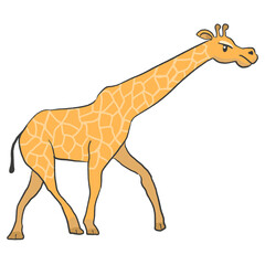 Obraz premium Hand drawn giraffe cartoon illustration Animal.