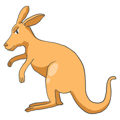 Hand drawn kangaroo cartoon illustration Animal.