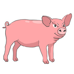 Hand drawn pig cartoon illustration Animal.