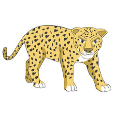 Hand drawn tiger cartoon illustration Animal.