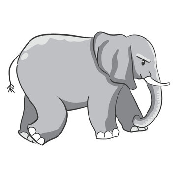 Hand drawn elephant cartoon illustration Animal.