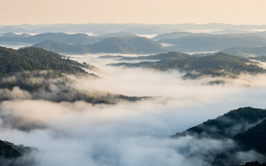 Fototapeta premium Morning Fog