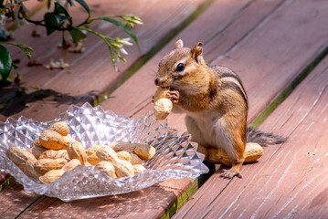 Fancy nuts for a chipmunk on a crystal plate