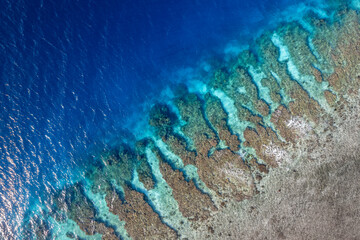 Aerial shot of a coastal reef in the bay islands honduras