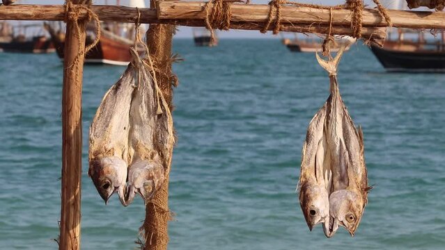 Dried fish displayed in a shop in a village in Qatar