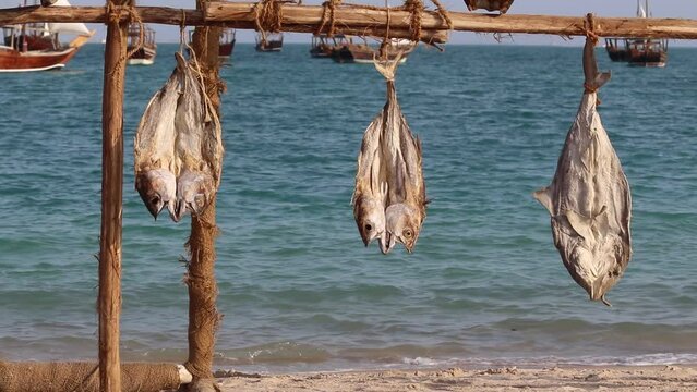 Arabic Stockfish preserved by drying under sunlight and shore winds. It is one of the arabic delicacy.