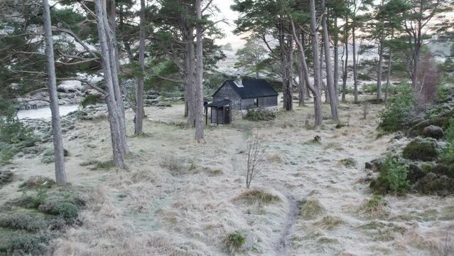 Aerial drone footage flying backwards through Scots pine trees (Pinus sylvestris) and heather moorland to reveal a remote Bothy (Bob Scott's). Glen Derry, Cairngorms National Park, Scottish Highlands