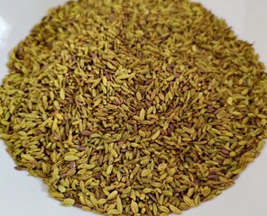 Healthy roasted Fennel Seed or Saunf Indian Traditional Digestive Food and mouth freshner.
