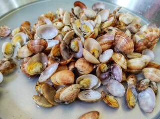 Steamed Clams in white bowl.