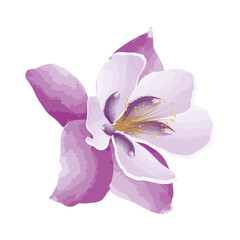 Fototapeta na wymiar lilac watercolour exotic flower