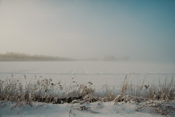 winter landscape
