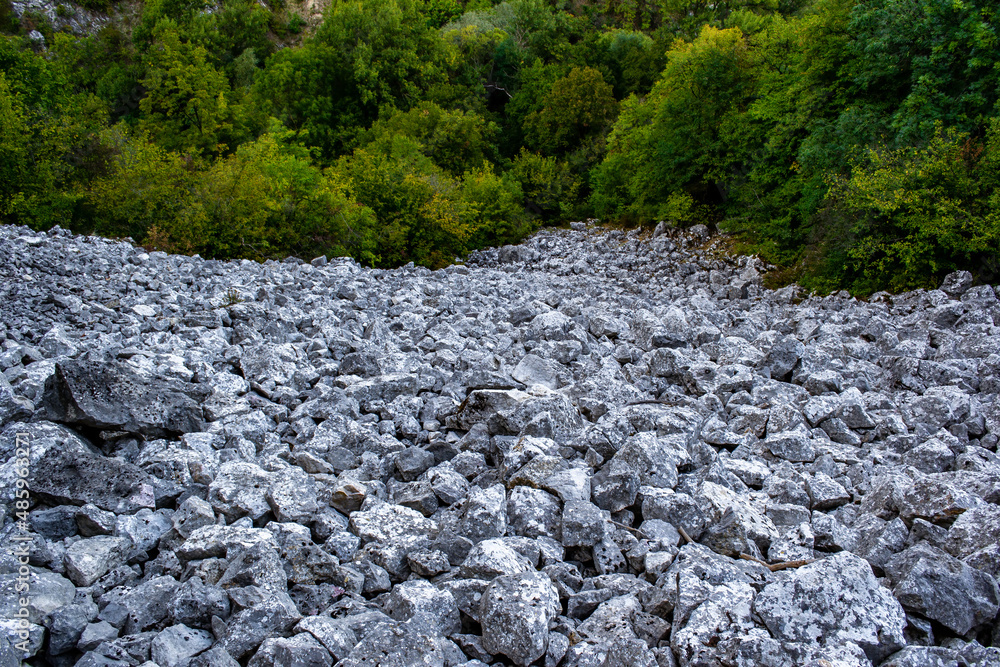 Poster a view of a slope of a hill with tons of rocks and trees at the bottom