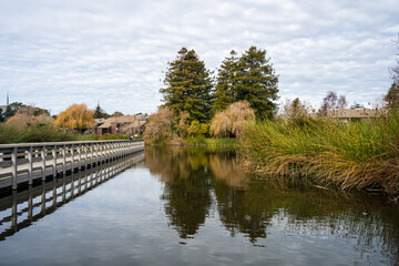 Neary Lagoon Santa Cruz California