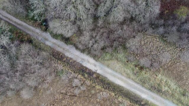 Aerial drone footage flying forward over fields, a remote single-track road, a native broadleaf woodland canopy, a river and a remote Scottish bothy (Cadderlie Bothy) in winter. Glen Etive, Scotland