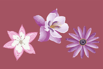 three exotics lilac flowers