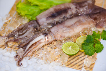 Squid on ice, Fresh raw squid with lettuce vegetable salad seafood coriander lemon lime on white plate background