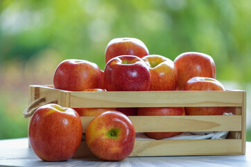 Fresh red Envy apple in wooden basket on green bokeh background