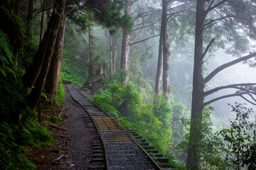 Taiwan, Yilan County, Taiping Mountain, Jianqing Old Road, famous, tourist attraction