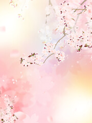 Pastel background material using cherry blossoms