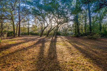 Naklejka premium creatuve