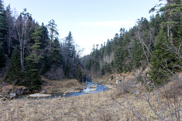 traveling along the bed of a mountain river, an autumn day, nature is preparing for winter hibernation.