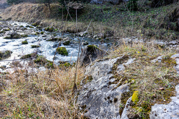 traveling along the bed of a mountain river, an autumn day, nature is preparing for winter hibernation.