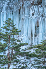 長野県木曽郡木曽町　白川氷柱群
