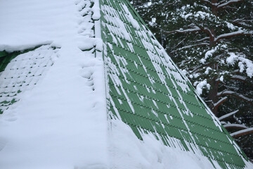 Snow on a green corrugated roof against the backdrop of snow-covered trees.