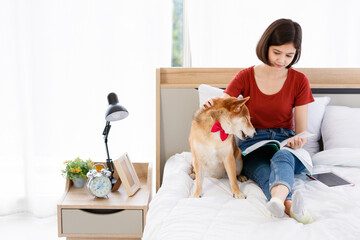Little cute beautiful smart brown Japanese Shiba Inu dog wearing red bowtie sitting on bed together with Asian young female girl owner laying down leaning on pillow reading book and tablet in bedroom