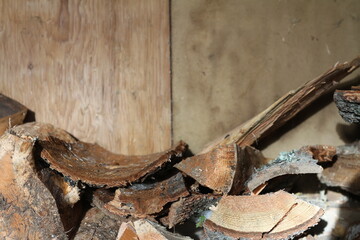 Wood Shed