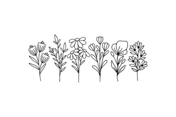 Wildflower line art vector. Flower garden elegance botanical. Hand drawn herbal and meadow plants illustration on white background. Daisy, twigs botany, branch for summer decor.