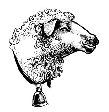 Sheep Stock Illustration - Download Image Now - Sheep, Drawing - Activity,  Illustration - iStock