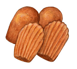 マドレーヌ　ケーキイラスト　手描き