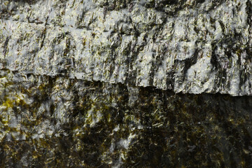 Dry nori sheets as background, top view