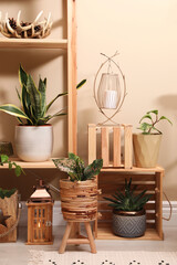 Wooden furniture with houseplants and stylish accessories. Room interior