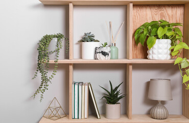 Wooden shelving unit with interior accessories and houseplants on white wall