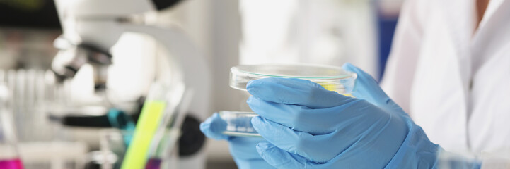 Scientist chemist in rubber gloves opening petri dish in laboratory closeup