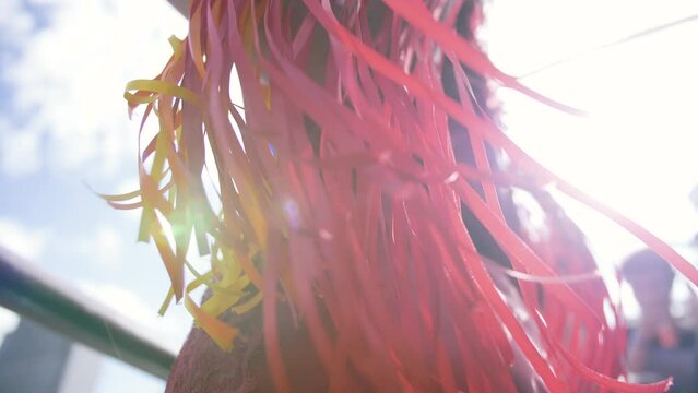 Scene of a girl in Brazilian Carnaval