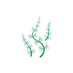 seaweed and seafood logo and icon vector