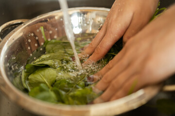 Happy and healthy young woman meal prepping whole vegetarian meal in the kitchen. High quality photo