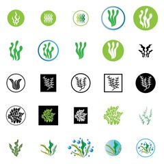seaweed and seafood logo and icon vector