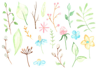 Watercolor Easter plants, branches, leaves, flowers, foliage, willow, berries